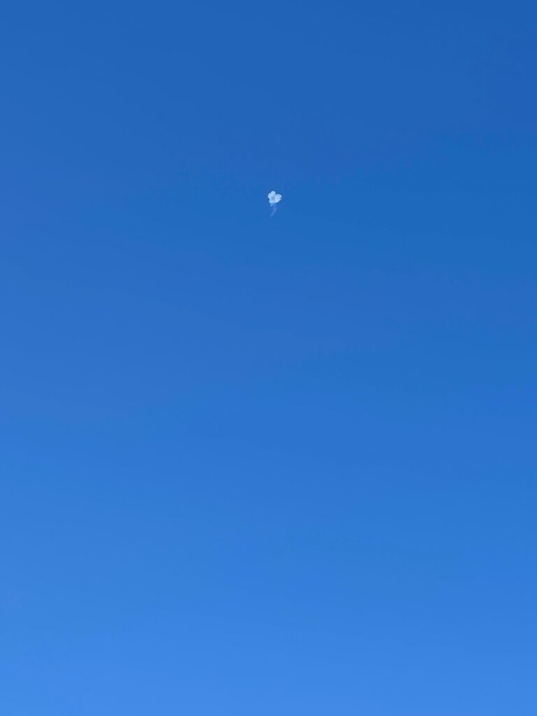 بالفيديو - المقاومة تسقط مسيرة “إسرائيلية” فوق إقليم التفاح – PHOTO 2024 02 26 09 15 34