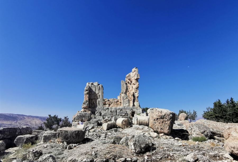 عُثر عليه "مشنوقا" في مجدل عنجر! – عنجر