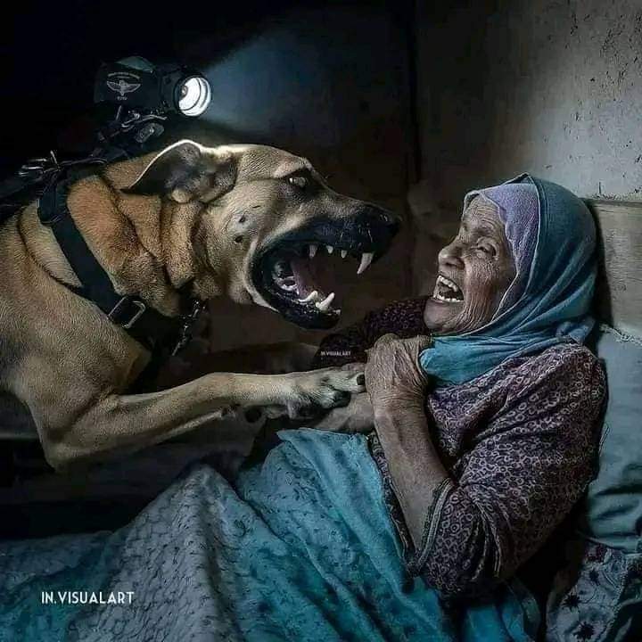 العجوز والكلب وحكاية وطن./ نادين خزعل