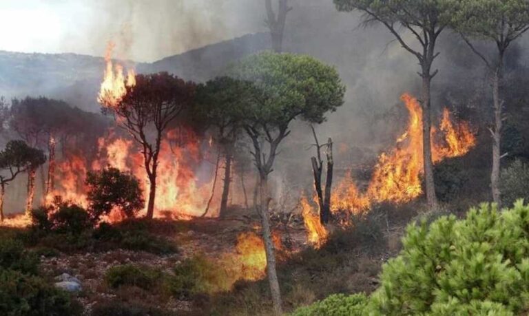 بشأن استخدام المفرقعات النارية.. بيان هام من الدفاع المدني – حرائق