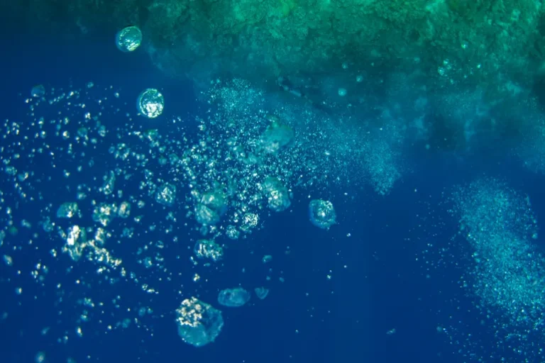 العلماء يحذّرون من خطر يهدّد الأرض – الأكسجين في المياه