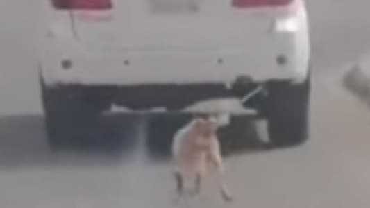 ربط كلباً بسيارته وسحله لمسافة 500 متر! – 2559b129b3b1fa27828c958ff8f414ea