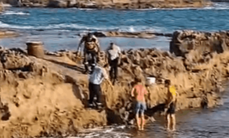 حادثة سلب تحولت إلى جريمة في شكا – جثة