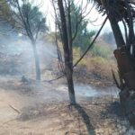 فيديو - حريق كبير بين بلدتي الغازية ومغدوشة وإخلاء عدد من المنازل – حريق