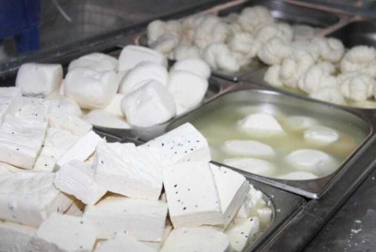 صراصير وديدان داخل اللبن والحليب.. فضيحة غذائية تهزّ مصانع الألبان! – اجبان