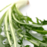 الهندباء البرية نبتة مجانية تنتج طبخة العصورة بتكاليف بسيطة – 7a14cabe5cf7bb0cffe7eb9ff56cddf8