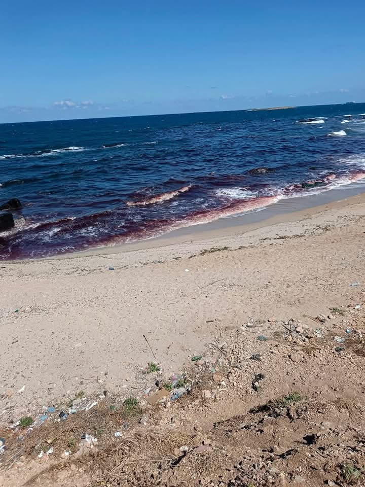 بالصّور ـ في احدى شواطئ لبنان .. مشهد غريب يثير استغراب المواطنين 1 بالصّور ـ في احدى شواطئ لبنان .. مشهد غريب يثير استغراب المواطنين – PHOTO 2025 06 02 13 09 16