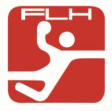 فوعاني يكشف المستور وما يحصل داخل أروقة الاتحاد اللبناني لكرة اليد – image 5