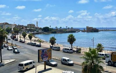 حشرات داخل مطعم وفرن في صيدا… والاقتصاد يتدخل! – image 21