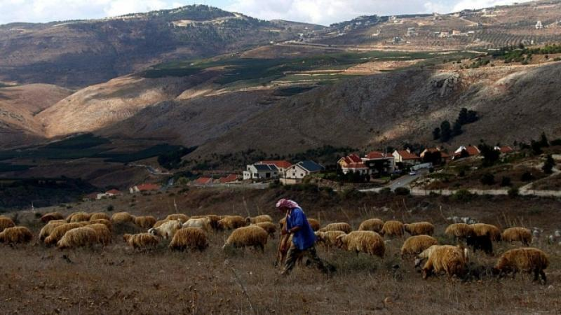 حشيشة في عزّ العدوان… راعي يتاجر على الحدود الجنوبية والقضاء يحسمها! – image 12