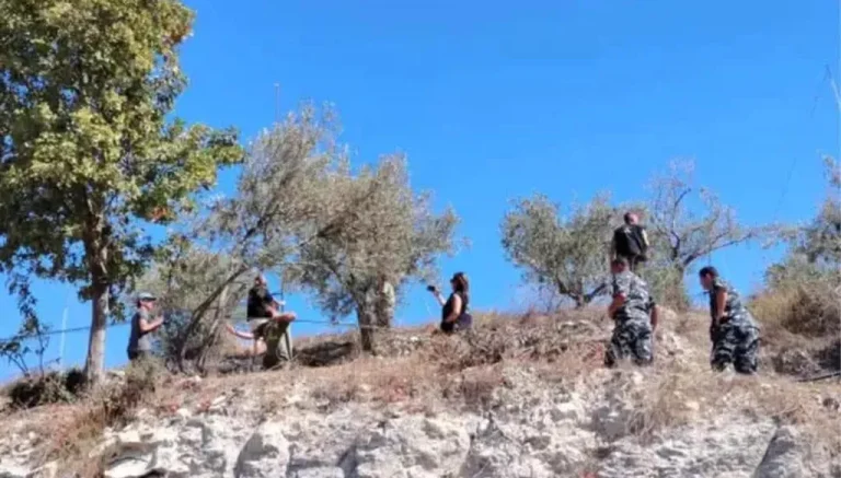 بالأرقام الصادمة: إسقاط “أكبر مذبحة صيد” في تاريخ لبنان – image 165