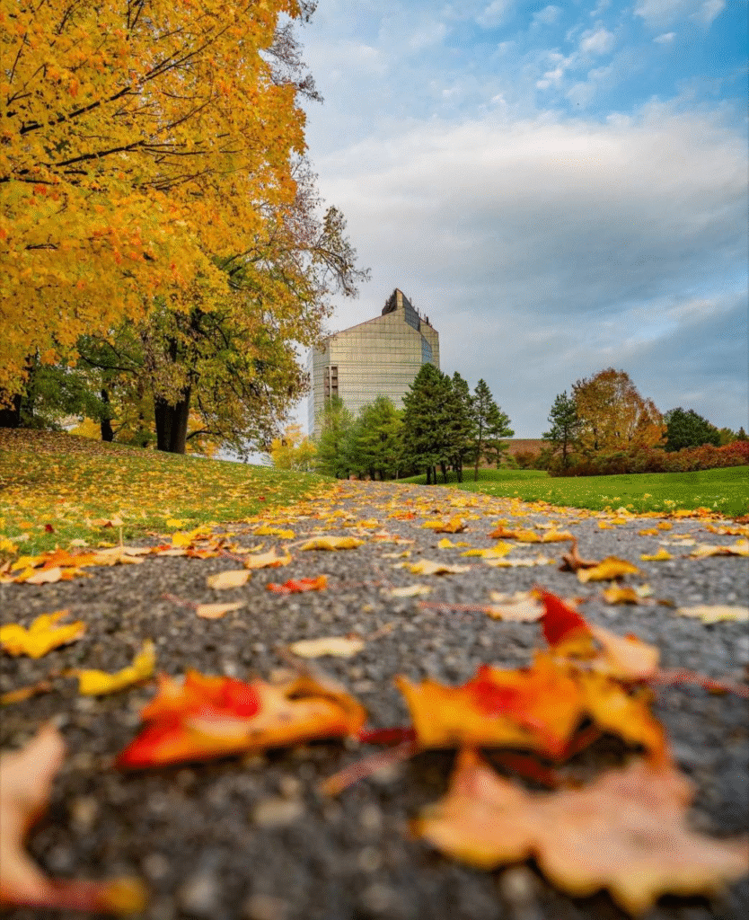 طقس خريفي مستقر يسيطر على لبنان – image 175