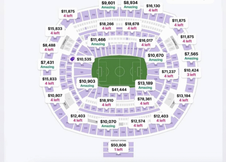 هكذا تبدو أسعار التذاكر لحضور نهائي كأس العالم لكرة القدم في ملعب ميتلايف على موقع StubHub.
