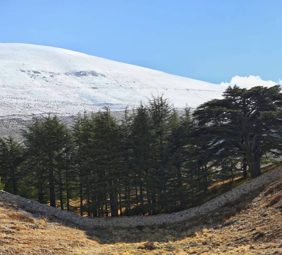الحرارة الى ارتفاع.. اليكم حال الطقس في الـ”weekend”