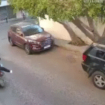بالفيديو: نشل سيدة مسنة في منطقة الأشرفية – image 12