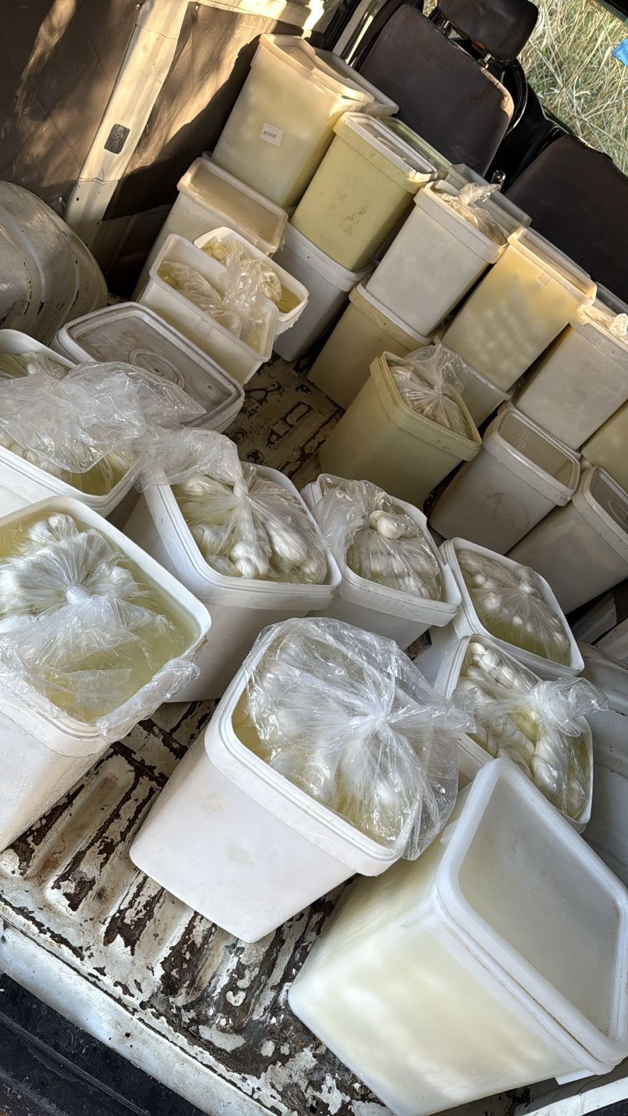 ضبط أجبان سورية مهرّبة – image 136