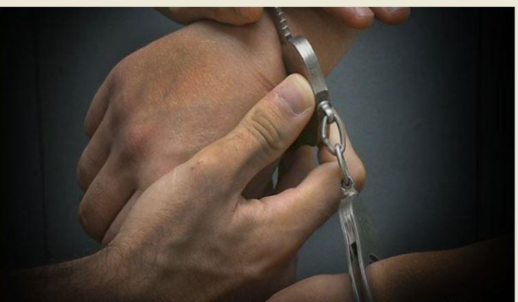 توقيفات بالجملة… العصابات لم تعد في مأمن! – image 15