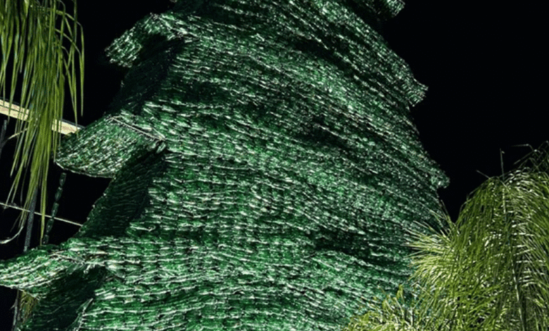 لبنان.. اكبر أرزة ” في العالم تدخل موسوعة “غينيس” – image 150