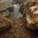 نبع الطاسة