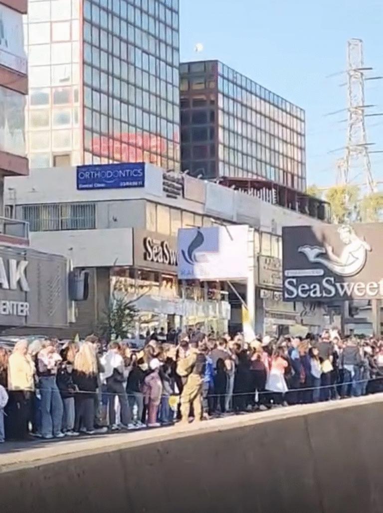 بالفيديو- من الزوق إلى بيروت… الحشود تملأ الطرقات بانتظار مرور البابا – image 5