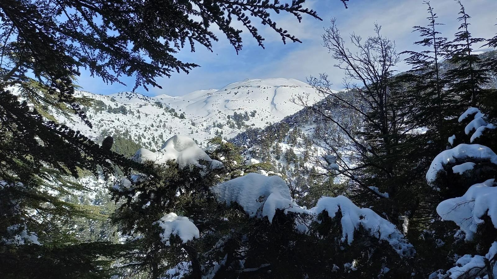 ذهب في رحلة مشي الى حرش اهدن… فسقط واختفى