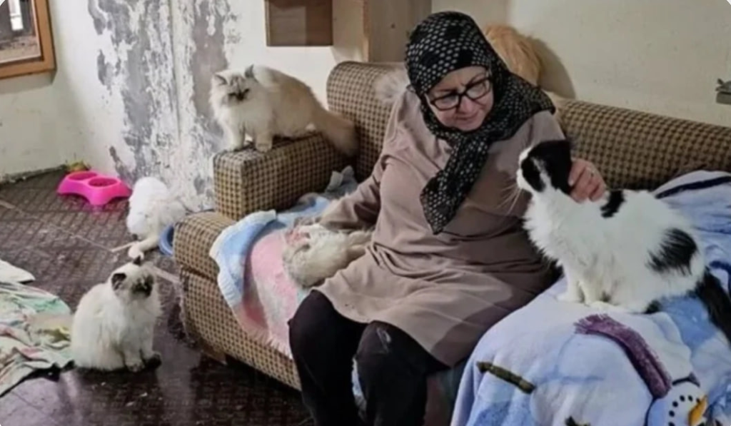 سيدة لبنانية تحوّل منزلها في الضاحية إلى “ملجأ للقطط” رغم الحرب والأزمة.. القصة كاملة 2 سيدة لبنانية تحوّل منزلها في الضاحية إلى “ملجأ للقطط” رغم الحرب والأزمة.. القصة كاملة – image 51