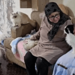 سيدة لبنانية تحوّل منزلها في الضاحية إلى “ملجأ للقطط” رغم الحرب والأزمة.. القصة كاملة 8 سيدة لبنانية تحوّل منزلها في الضاحية إلى “ملجأ للقطط” رغم الحرب والأزمة.. القصة كاملة – image 51