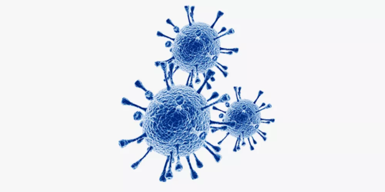 عدوى جديدة تثير المخاوف… والقلق يرافق ظهورها في لبنان – image 69