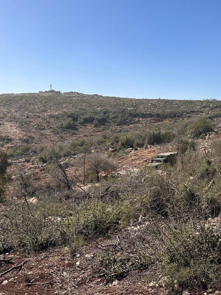 تمارا الزين تتحرك رسمياً بعد نتائج صادمة حول الأضرار البيئية جنوب لبنان 6 تمارا الزين تتحرك رسمياً بعد نتائج صادمة حول الأضرار البيئية جنوب لبنان – photo 5 2026 02 15 08 50 02