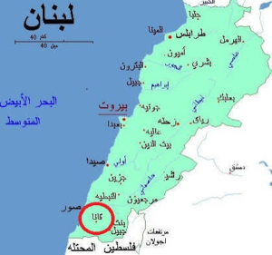 "السيد حسن" في قانا