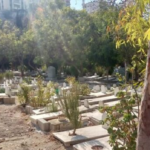 سماع صوت من قبر شخص متوف والجيش اللبناني يتدخل. – image 39