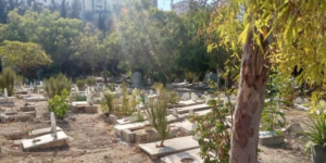 سماع صوت من قبر شخص متوف والجيش اللبناني يتدخل. – image 39