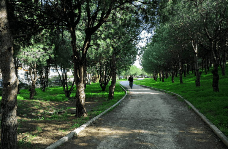 جرائم بيئية وإهمال داخل حرش بيروت ورئيس البلدية يتحرك.