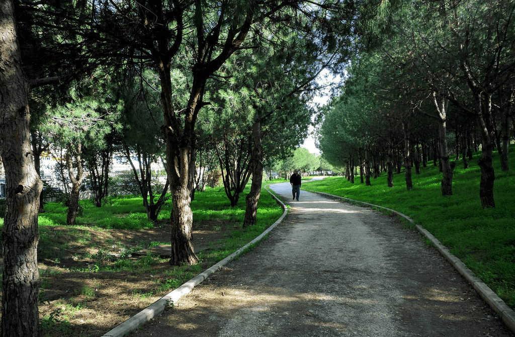 جرائم بيئية وإهمال داخل حرش بيروت ورئيس البلدية يتحرك.
