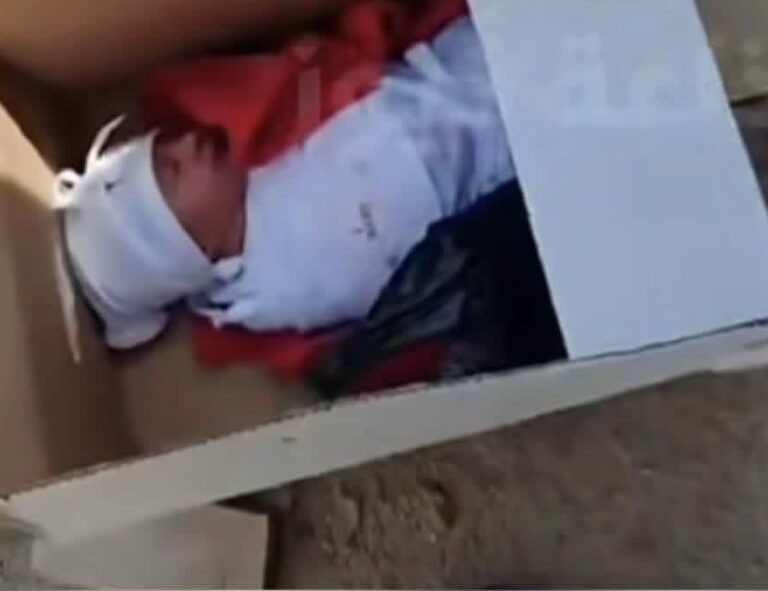 العثور على طفل حديث الولادة داخل كرتونة … «وحليبه معه»